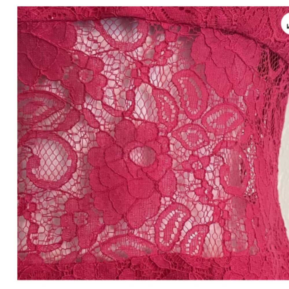 BCBG Max Azria Devom Begonia Pink Lace Overlay Sheer Lace Midriff Sleeves - Picture 4 of 11